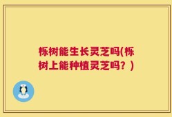 栎树能生长灵芝吗(栎树上能种植灵芝吗？)