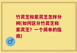 竹灵芝和紫灵芝怎样分辨(如何区分竹灵芝和紫灵芝？一个简单的指南)