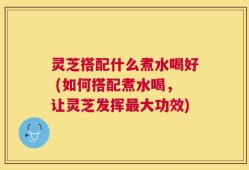 灵芝搭配什么煮水喝好 (如何搭配煮水喝，让灵芝发挥最大功效)