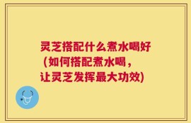 灵芝搭配什么煮水喝好 (如何搭配煮水喝，让灵芝发挥最大功效)