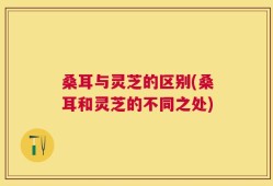 桑耳与灵芝的区别(桑耳和灵芝的不同之处)