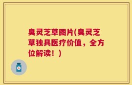 臭灵芝草图片(臭灵芝草独具医疗价值，全方位解读！)