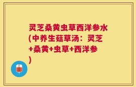 灵芝桑黄虫草西洋参水(中养生菇草汤：灵芝+桑黄+虫草+西洋参)