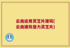 云南运用灵芝片建筑(云南建筑借力灵芝片)