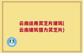 云南运用灵芝片建筑(云南建筑借力灵芝片)