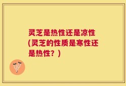 灵芝是热性还是凉性 (灵芝的性质是寒性还是热性？)