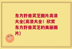 东方野兽灵芝图片高清大全(高清大全！欣赏东方野兽灵芝的美丽图片)