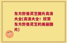 东方野兽灵芝图片高清大全(高清大全！欣赏东方野兽灵芝的美丽图片)