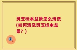灵芝标本盆景怎么清洗(如何清洗灵芝标本盆景？)