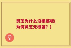 灵芝为什么没根茎呢(为何灵芝无根茎？)