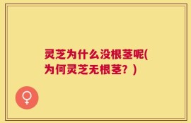 灵芝为什么没根茎呢(为何灵芝无根茎？)