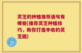 灵芝的种植推荐语句有哪些(推荐灵芝种植技巧，助你打造丰收的灵芝园)