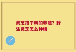灵芝孢子粉的养殖？野生灵芝怎么种植