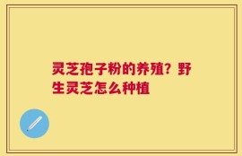 灵芝孢子粉的养殖？野生灵芝怎么种植