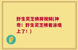 野生灵芝横屏视频(神奇！野生灵芝横着涂墙上了！)