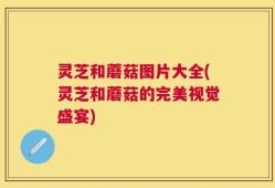 灵芝和蘑菇图片大全(灵芝和蘑菇的完美视觉盛宴)