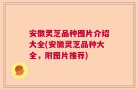 安徽灵芝品种图片介绍大全(安徽灵芝品种大全，附图片推荐)