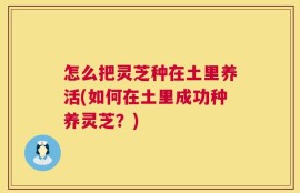 怎么把灵芝种在土里养活(如何在土里成功种养灵芝？)