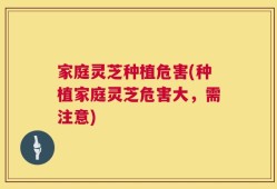 家庭灵芝种植危害(种植家庭灵芝危害大，需注意)