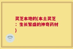 灵芝本地的(本土灵芝：生长繁盛的神奇药材)