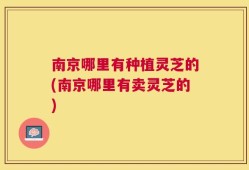 南京哪里有种植灵芝的(南京哪里有卖灵芝的)