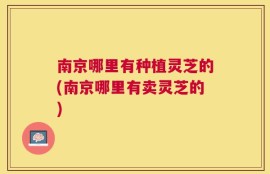 南京哪里有种植灵芝的(南京哪里有卖灵芝的)