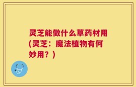 灵芝能做什么草药材用(灵芝：魔法植物有何妙用？)