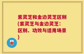紫灵芝和金边灵芝区别(紫灵芝与金边灵芝：区别、功效与适用场景)