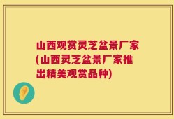 山西观赏灵芝盆景厂家(山西灵芝盆景厂家推出精美观赏品种)