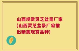 山西观赏灵芝盆景厂家(山西灵芝盆景厂家推出精美观赏品种)