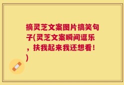 摘灵芝文案图片搞笑句子(灵芝文案瞬间逗乐，扶我起来我还想看！)