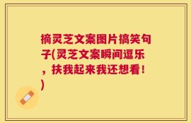 摘灵芝文案图片搞笑句子(灵芝文案瞬间逗乐，扶我起来我还想看！)