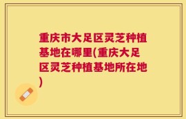 重庆市大足区灵芝种植基地在哪里(重庆大足区灵芝种植基地所在地)