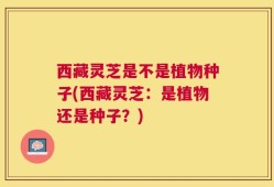 西藏灵芝是不是植物种子(西藏灵芝：是植物还是种子？)