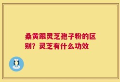 桑黄跟灵芝孢子粉的区别？灵芝有什么功效