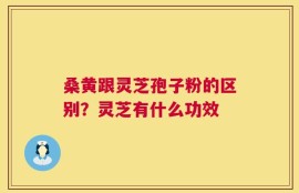 桑黄跟灵芝孢子粉的区别？灵芝有什么功效