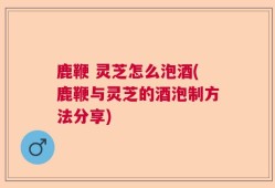 鹿鞭 灵芝怎么泡酒(鹿鞭与灵芝的酒泡制方法分享)