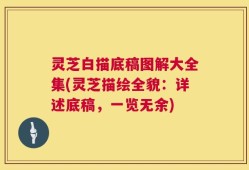 灵芝白描底稿图解大全集(灵芝描绘全貌：详述底稿，一览无余)