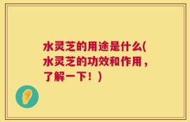 水灵芝的用途是什么(水灵芝的功效和作用，了解一下！)