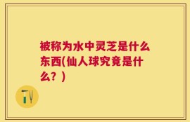 被称为水中灵芝是什么东西(仙人球究竟是什么？)