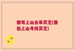 僧哥上山去采灵芝(僧侣上山寻找灵芝)