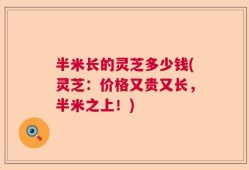 半米长的灵芝多少钱(灵芝：价格又贵又长，半米之上！)