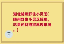 湖北随州野生小灵芝(随州野生小灵芝惊现，珍贵药材或将再现市场。)