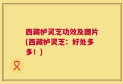 西藏栌灵芝功效及图片(西藏栌灵芝：好处多多！)