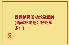 西藏栌灵芝功效及图片(西藏栌灵芝：好处多多！)