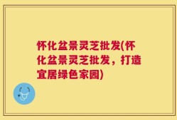 怀化盆景灵芝批发(怀化盆景灵芝批发，打造宜居绿色家园)
