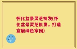 怀化盆景灵芝批发(怀化盆景灵芝批发，打造宜居绿色家园)