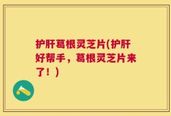 护肝葛根灵芝片(护肝好帮手，葛根灵芝片来了！)