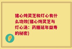 猪心炖灵芝和灯心有什么功效(猪心炖灵芝与灯心汤：药膳延年益寿的秘密)