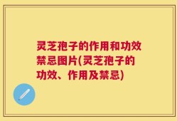灵芝孢子的作用和功效禁忌图片(灵芝孢子的功效、作用及禁忌)
